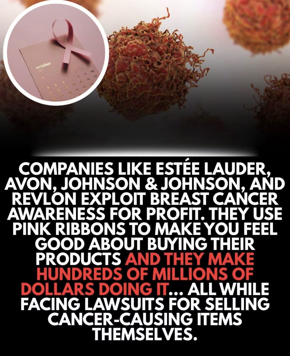 Screenshot of the viral post we checked, claiming: Companies like Estée Lauder, Avon, Johnson & Johnson, and Revlon exploit breast cancer awareness for profit. They use pink ribbons to make you feel good about buying their products