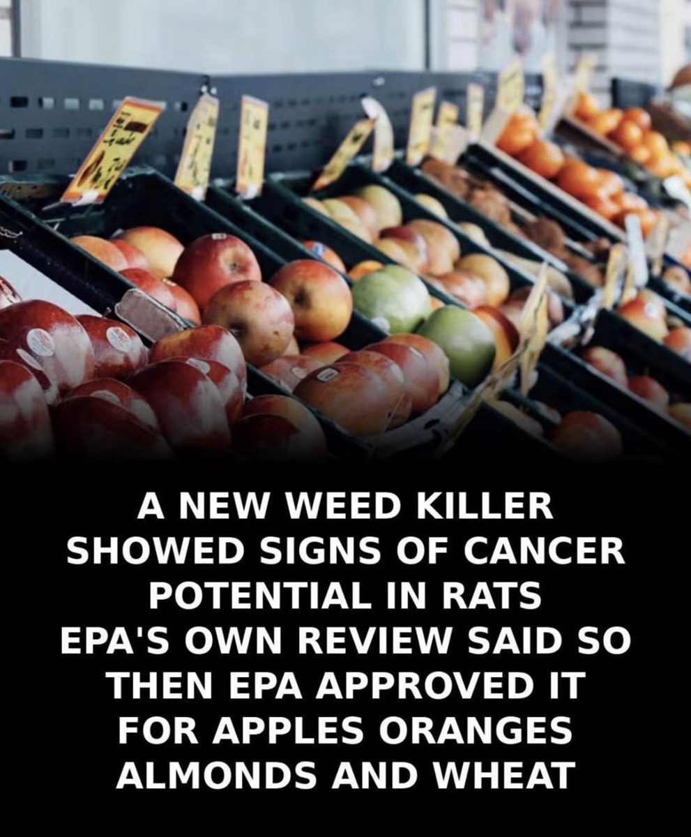 Screenshot of the viral post we checked, claiming: A new weed killer showed signs of cancer potential in rats. EPA's own review said so. Then EPA approved it for apples, oranges, almonds and wheat.