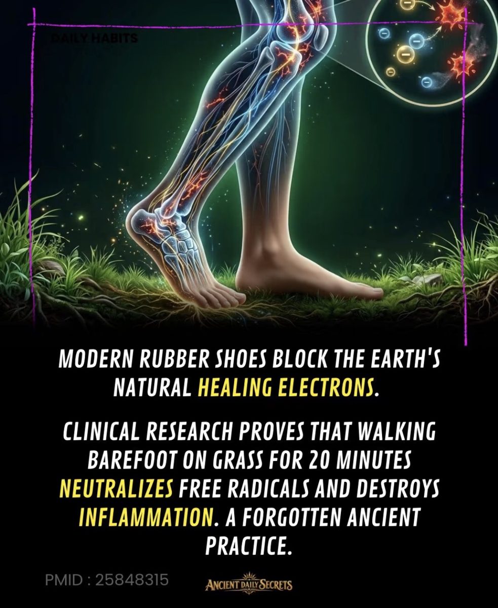 Screenshot of the viral post we checked, claiming: Modern rubber shoes block the Earth's natural healing electrons. Clinical research proves that walking barefoot on grass for 20 minutes neutralizes free radicals and destroys infla