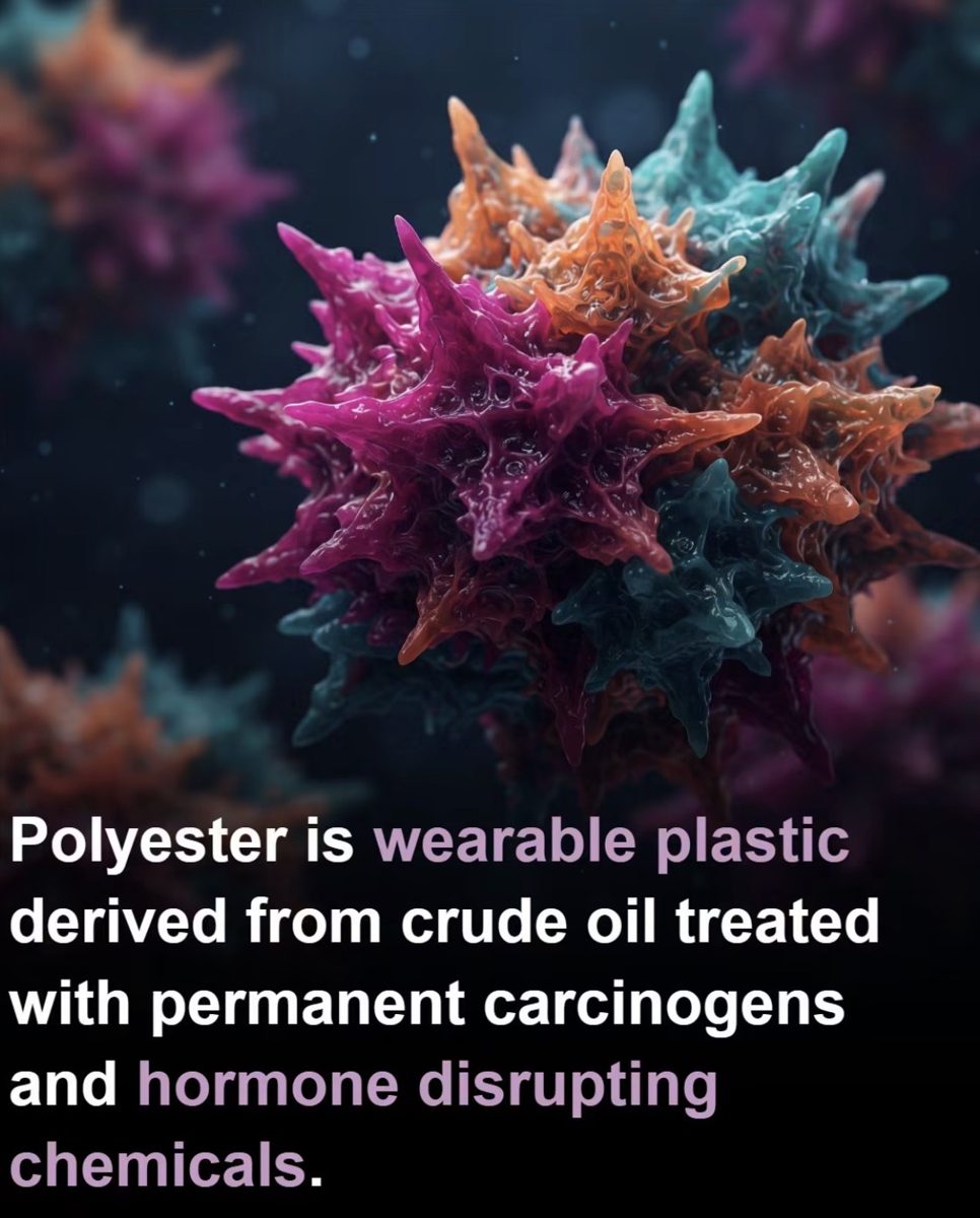 Screenshot of the viral post we checked, claiming: Polyester is wearable plastic derived from crude oil treated with permanent carcinogens and hormone disrupting chemicals.